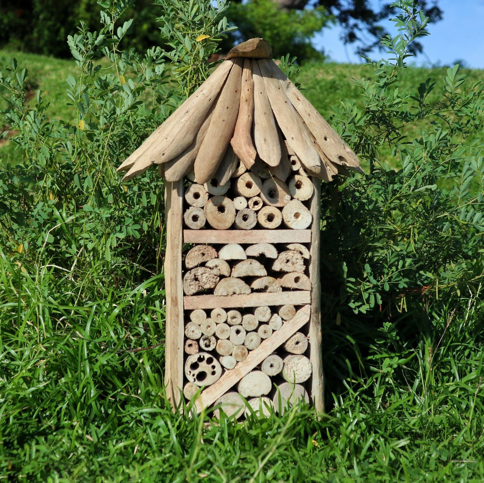 Driftwood Bee & Insect Highrise Box - Image 4