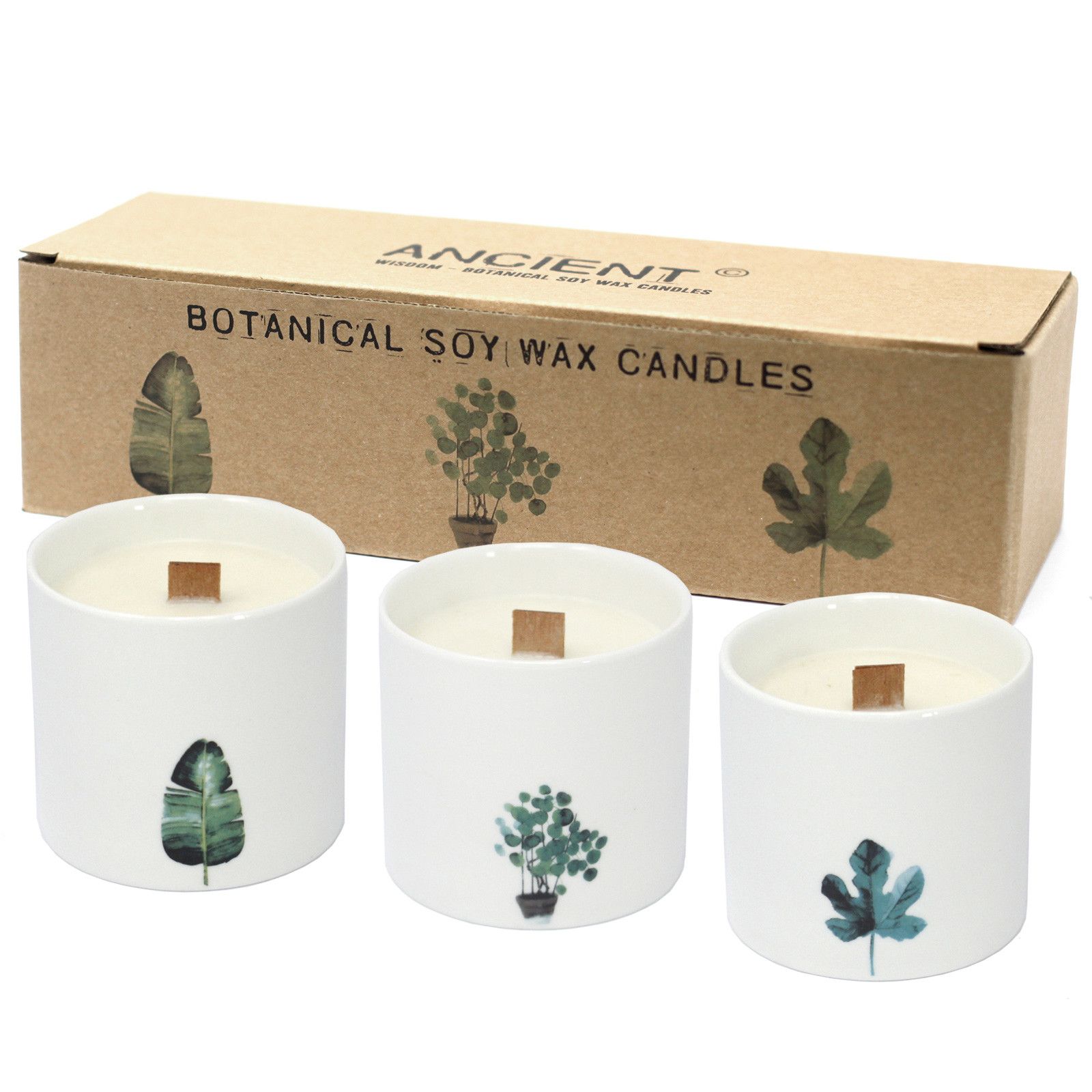 Large Botanical Candles - Marsh Viola - Image 5