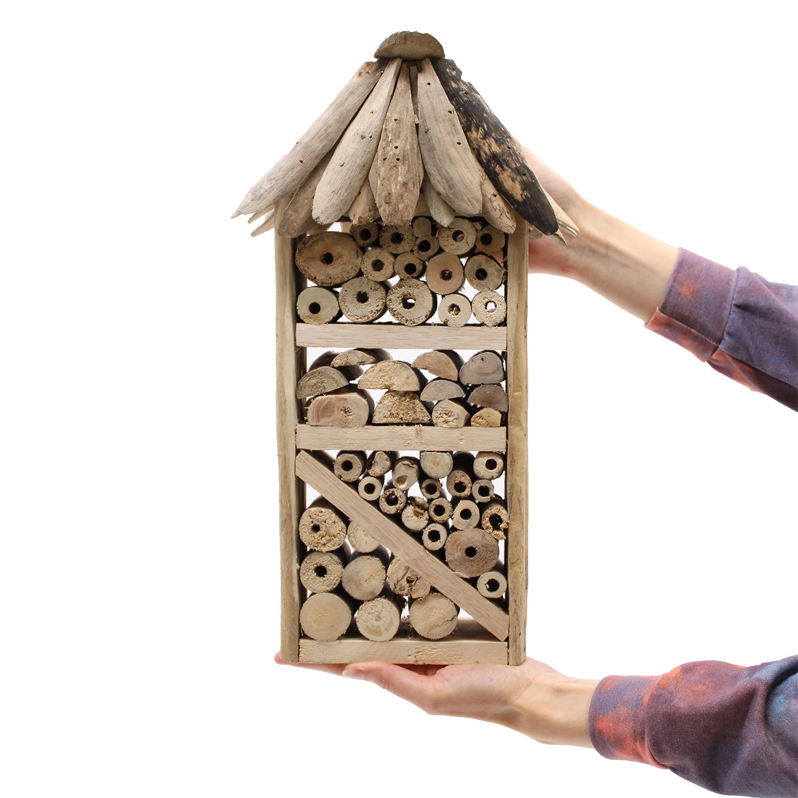 Driftwood Bee & Insect Highrise Box - Image 2