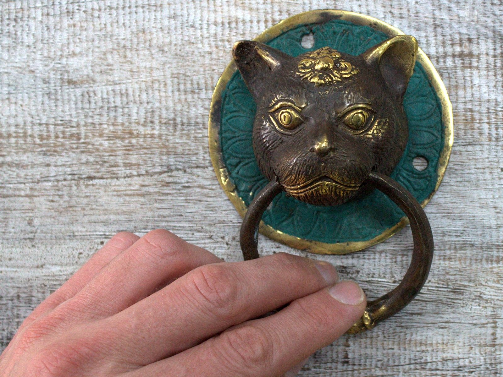 Brass Door Knocker - Cats Head - Image 3