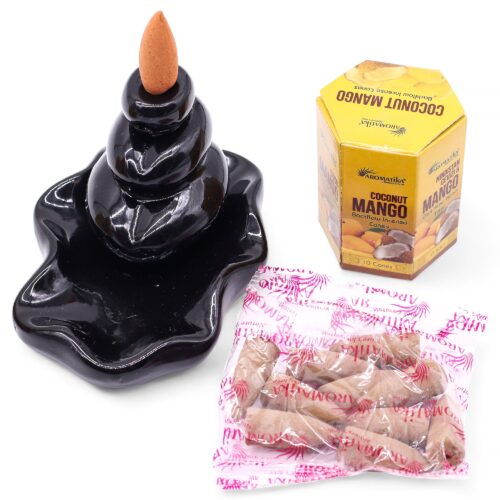 Pack of 10 Masala Backflow Incense - Coconut & Mango