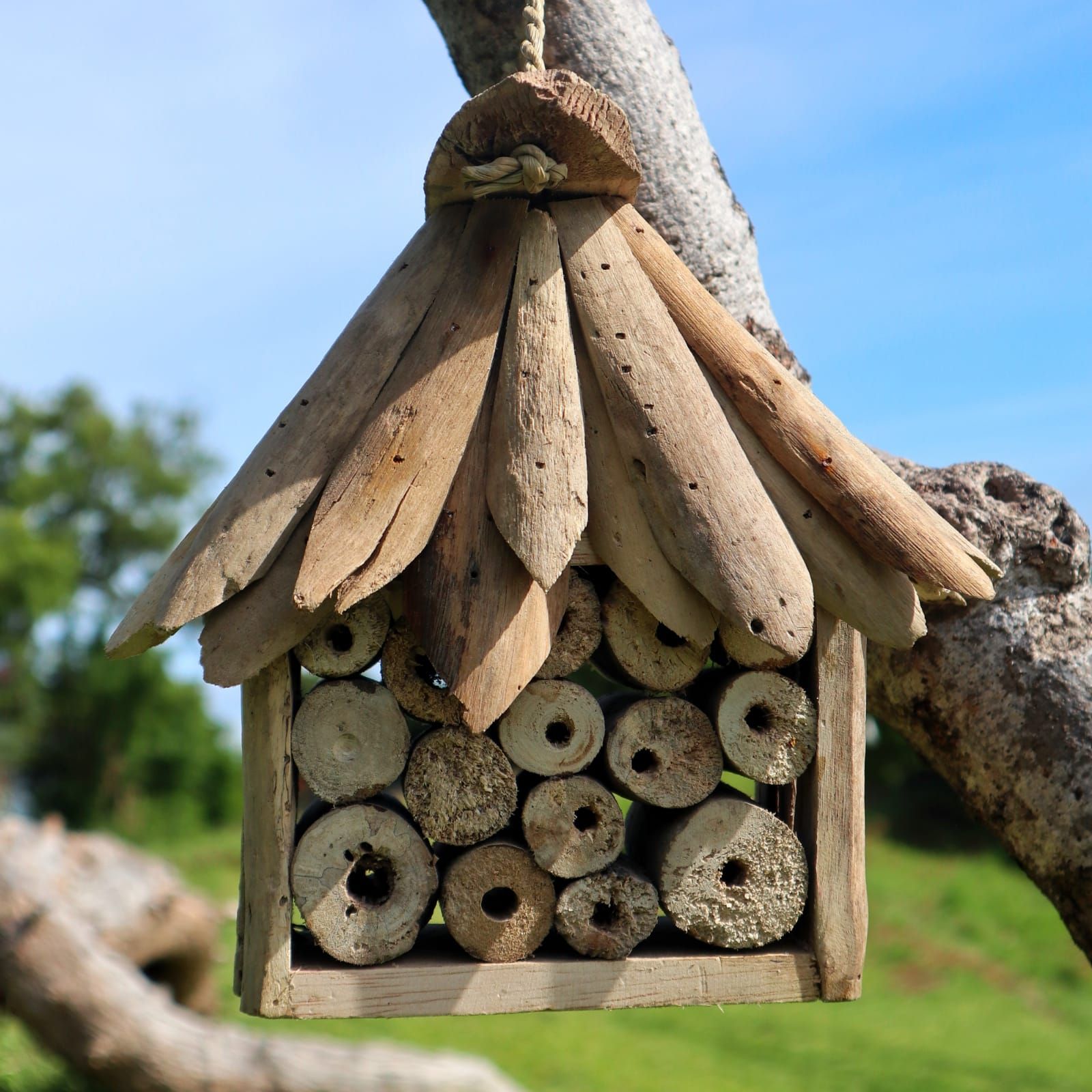Driftwood Bee & Insect Box - Image 6