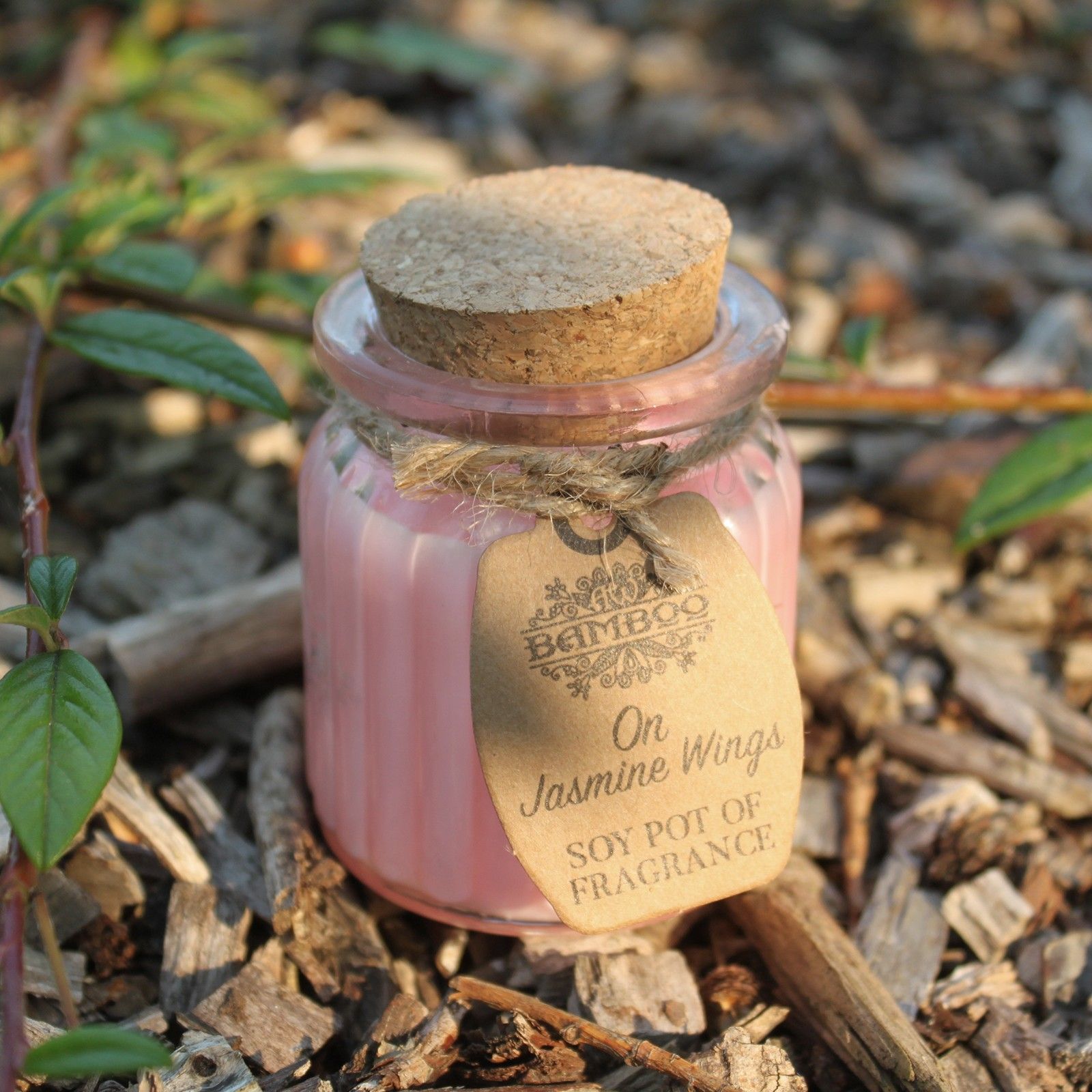 On Jasmine Wings Soy Pot of Fragrance Candles - Image 3