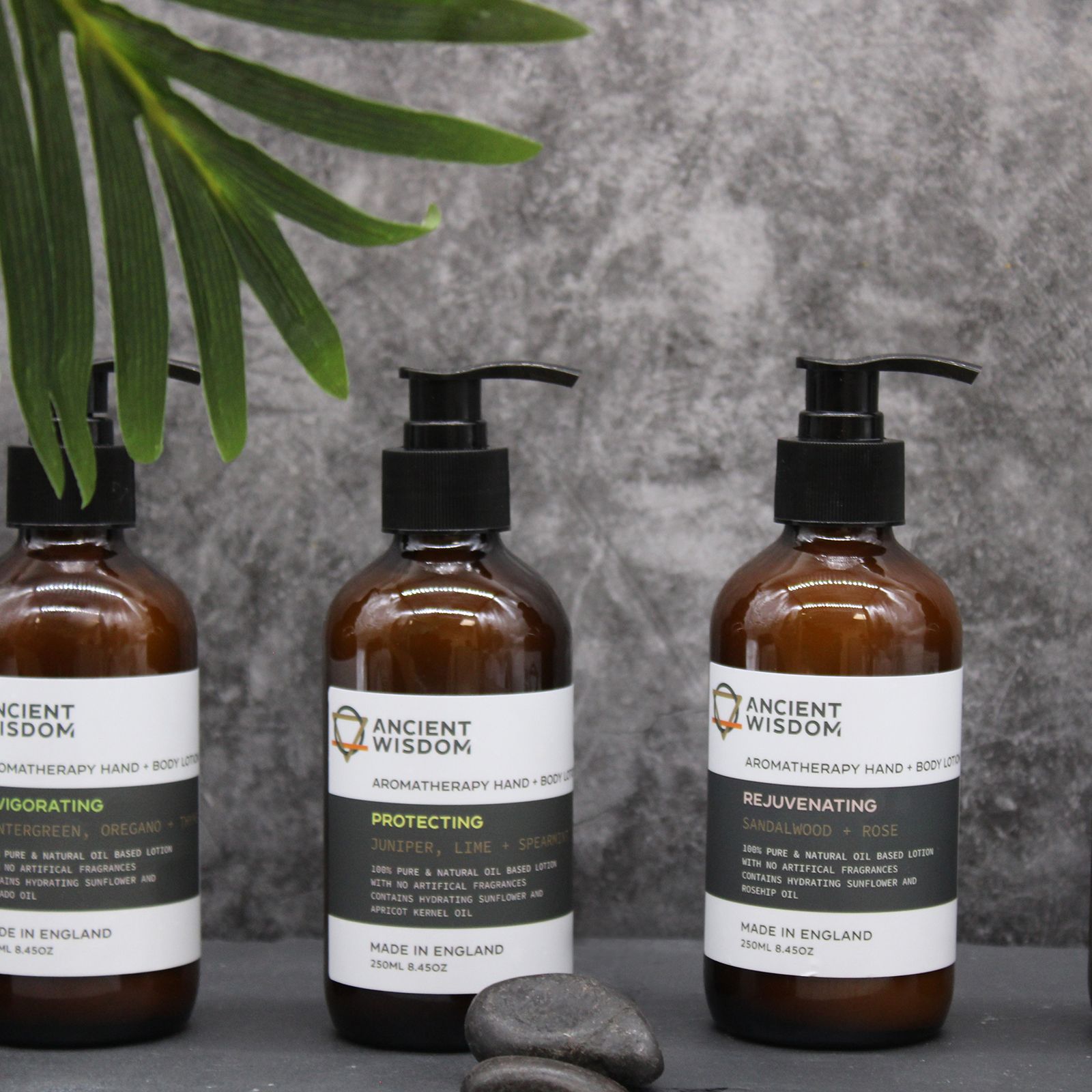Sandalwood & Rose Hand & Body Lotion 250ml - Image 3