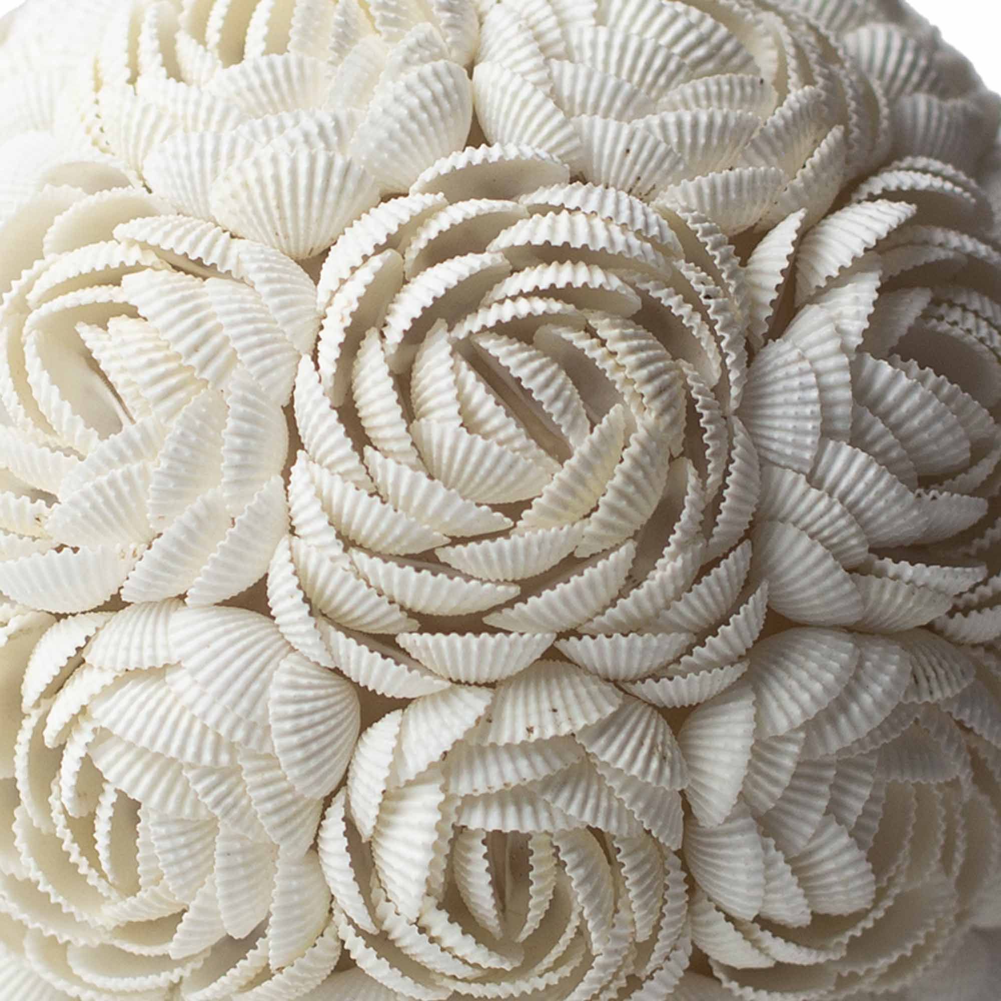Boho Sea Shell Lamp - Rose Oval - 20cm - Image 2