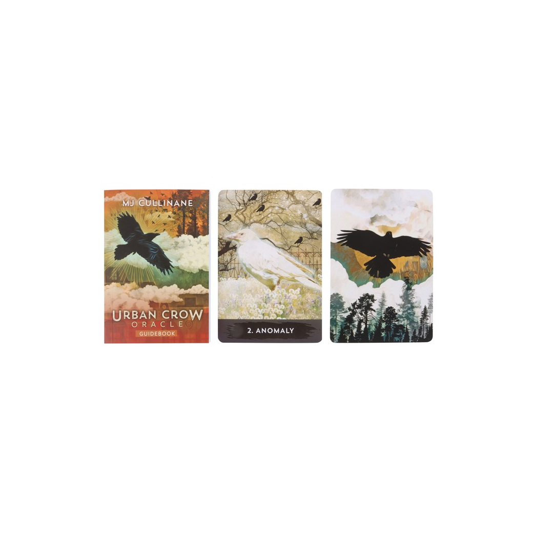 Urban Crow Oracle Cards - Image 3